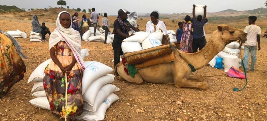 Trigg Omale, photo 1