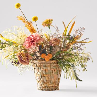 Debra Smythe, photo 2