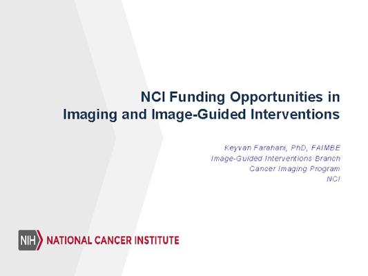 Keyvan Farahani, photo 1