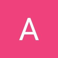 Ary G. Lins, photo 2