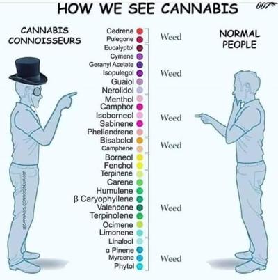 Katree Saunders, photo 1