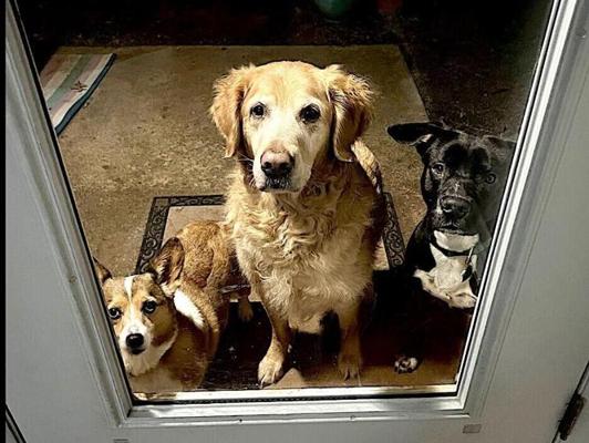 Allison Haley, photo 1