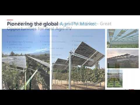 Chiranshu Bhatia, photo 2