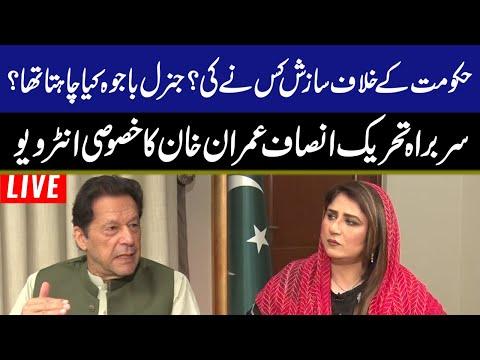 Fareeha Rehman, photo 2