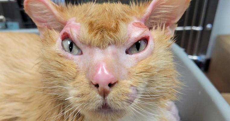 Cat Marshall, photo 1