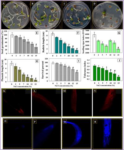 Raees Ebrahim, photo 2