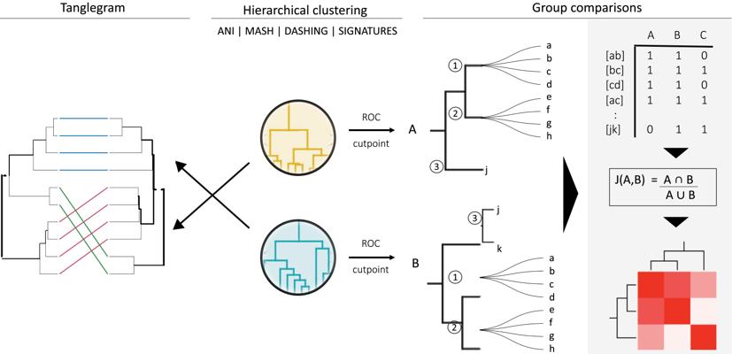 Tara Garrett, photo 2