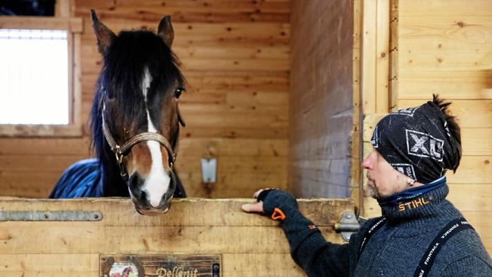 David Skärgård, photo 1