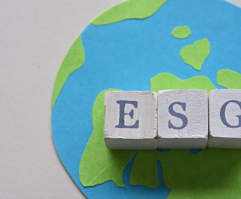 Allison Laubach, photo 2