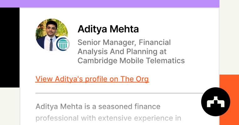 Aditya Mehta, photo 1