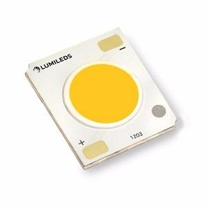 Indranil Gupta, photo 2