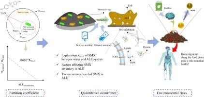 Ale de Vries, photo 2