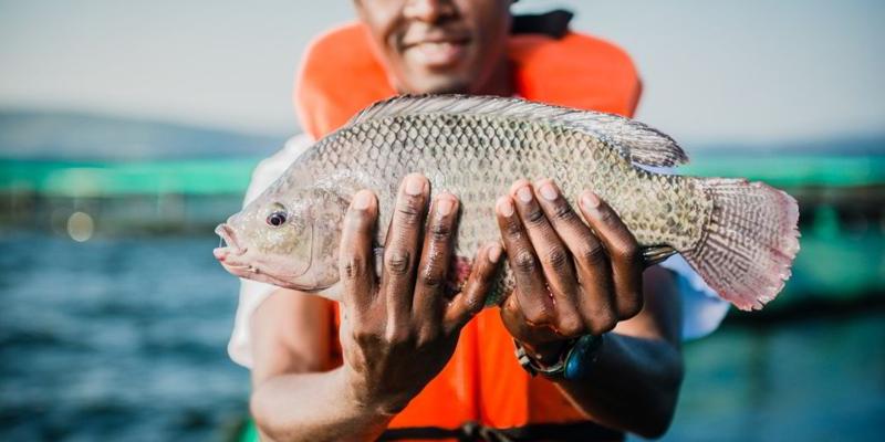 Bryan McCoy, photo 1