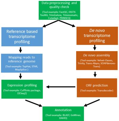 George Auer, photo 2