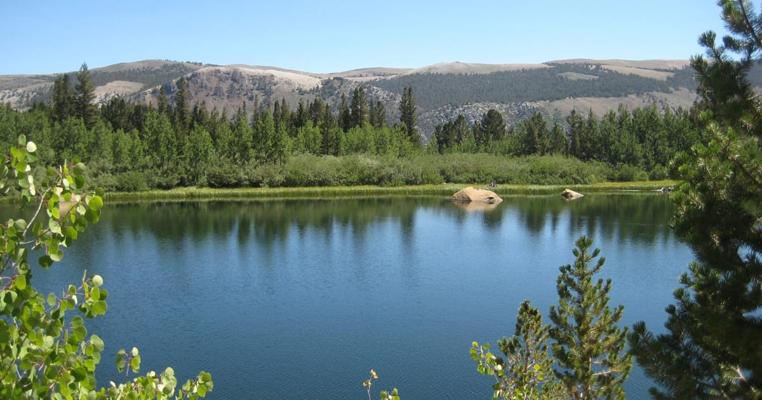 David Pilecki, photo 1