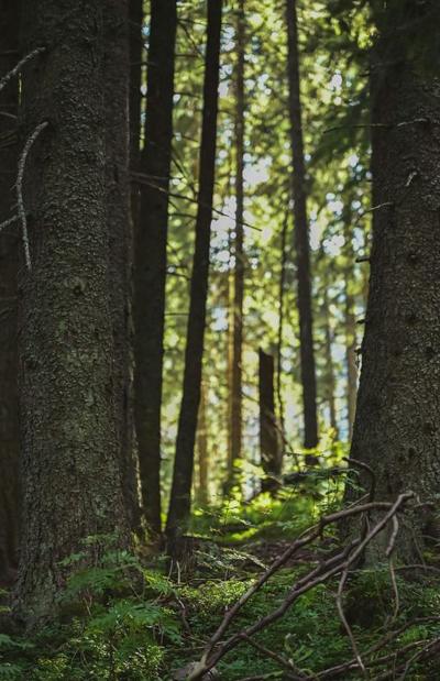 Howie Marlin, photo 1