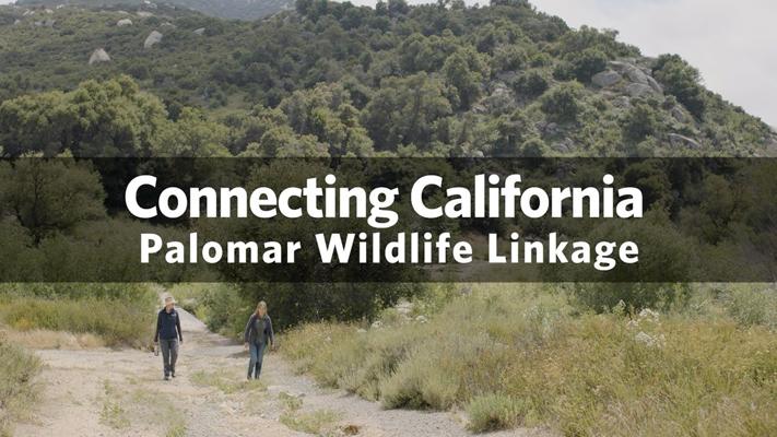 Brian Cohen, photo 2