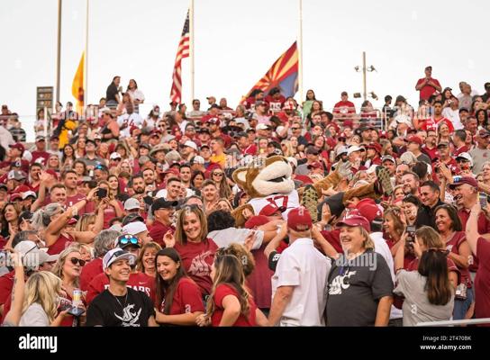 Stuart Gallop, photo 1