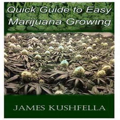 Valentin Guay, photo 2