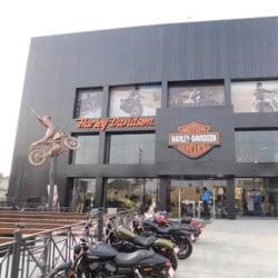 Harley Berger, photo 2