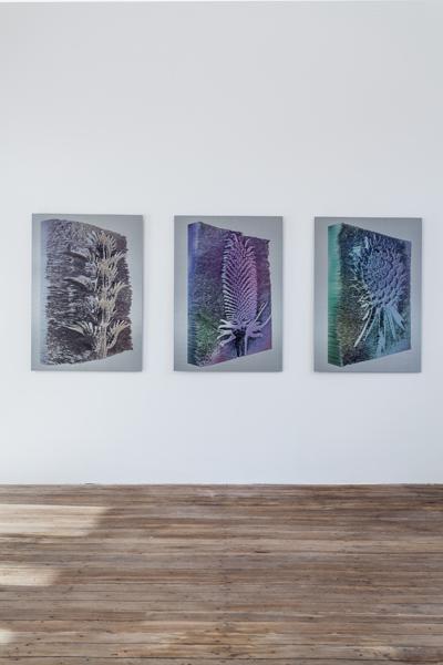 Gabriel Rolt, photo 1