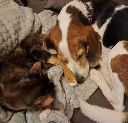 Vladimir Shkarupin, photo 2