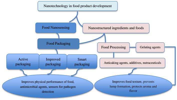Sam Falsafi, photo 2