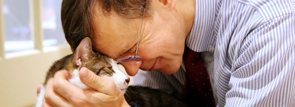 Mark Peterson, photo 1