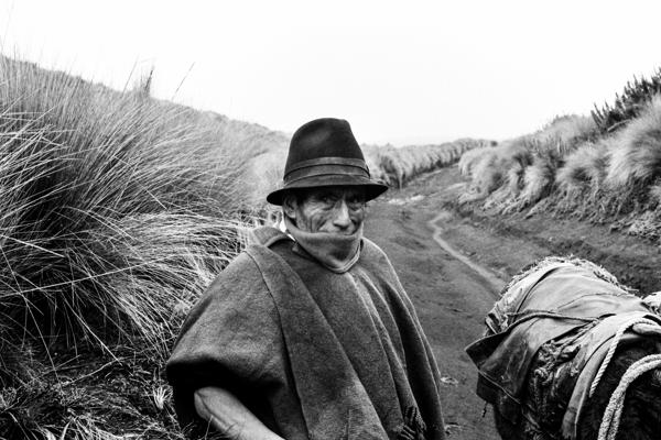 Manuel Succi, photo 2