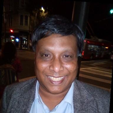 Krittibas Ray, photo 2