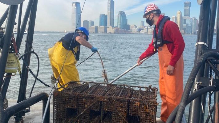 Toby Parker Pearce, photo 1