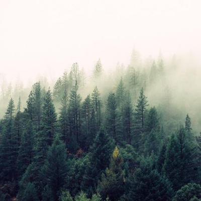 Vee McClure, photo 1