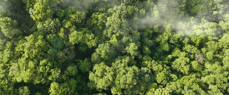 Clara Ortiz, photo 1