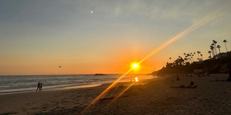 Jason Allan, photo 1