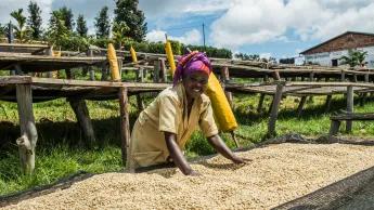 Xaver Kitzinger, photo 1