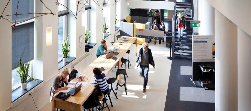 Jacqueline de Werker - Schep, photo 1