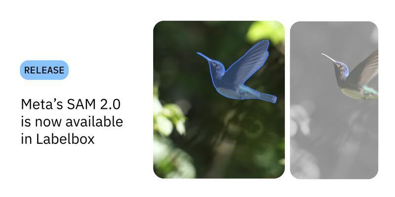 Robert Huerta, photo 2