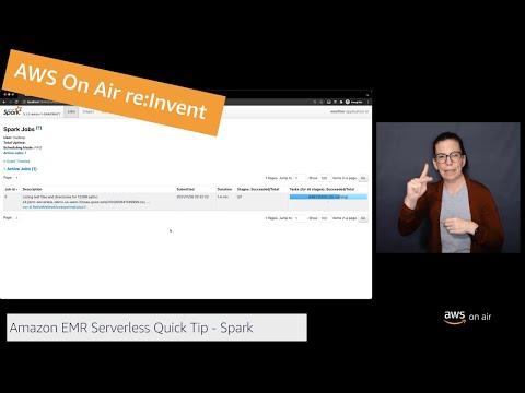 Damon Cortesi, photo 2