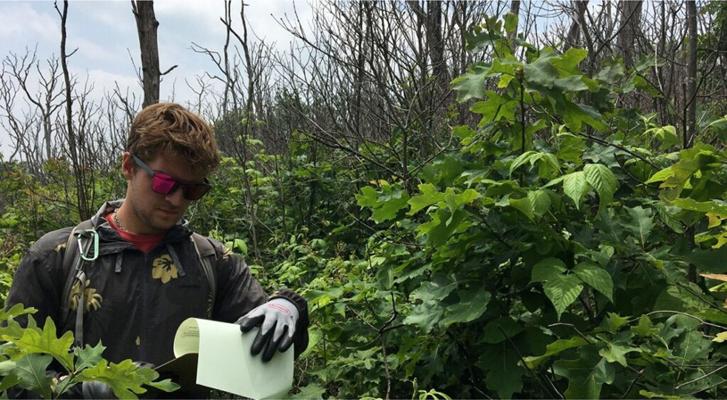 Jean Lorber, photo 2