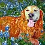 Robin Zebley, photo 1