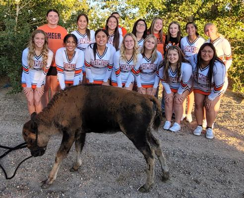 William Kelly, photo 2