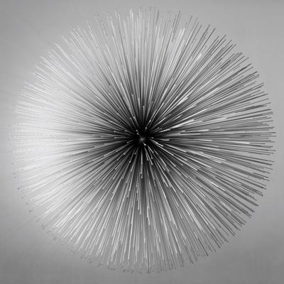 Kim Upright, photo 1