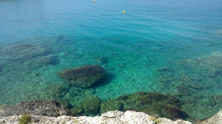 Sylvain Querné, photo 1