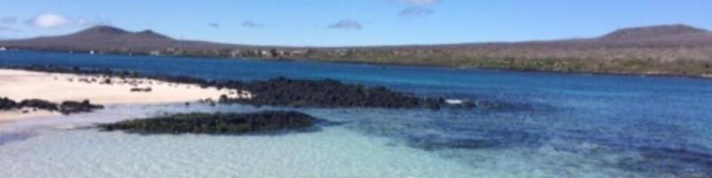 Diego Cespedes, photo 1