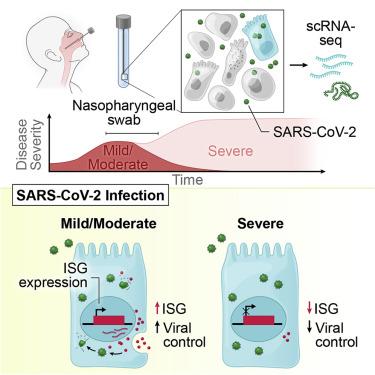 Clayton Wilson, photo 1