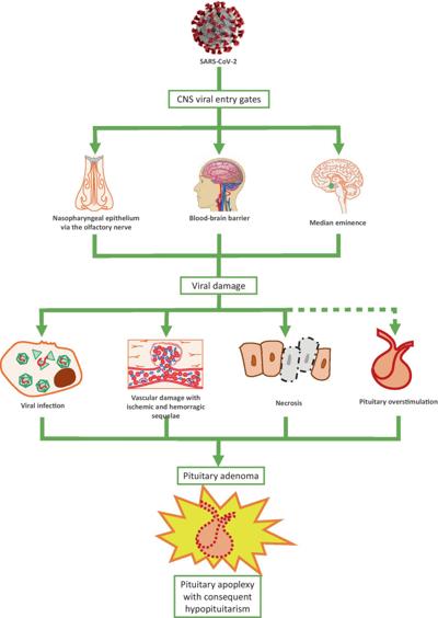 Claudio Comandini, photo 1