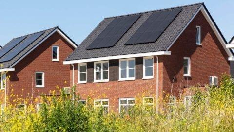 Taylor Selby, photo 2