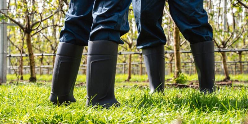 Jacolien de Lange, photo 1