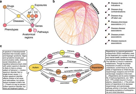 Emily Sikkens, photo 2