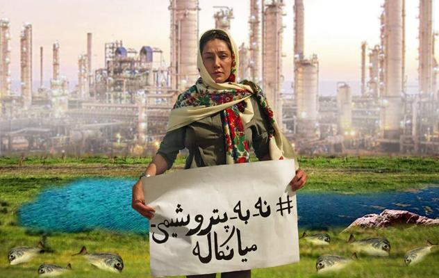 Seyed Needs, photo 1